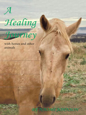 cover image of A Healing Journey